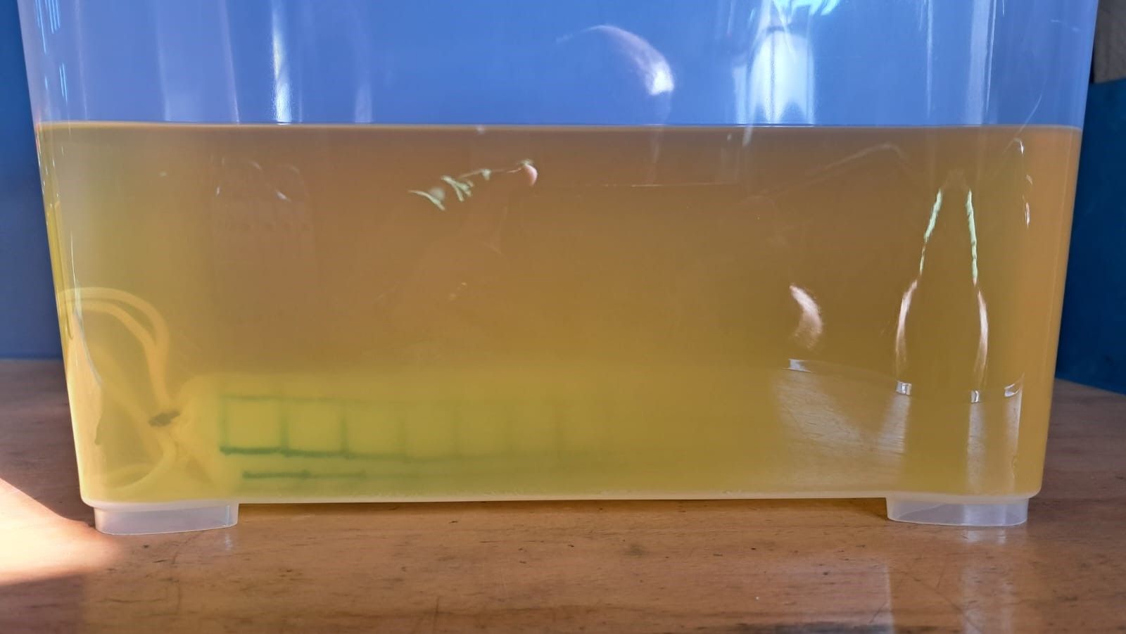 Wasserabsorber S für Diesel Beispiel Wasserabsorber S für Diesel Beispiel