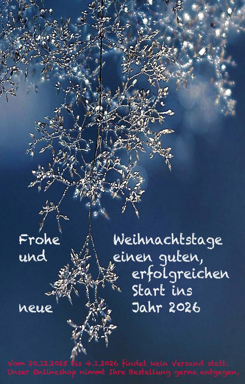 Natur, Draußen, Eis, Wetter, Pflanze, Natur, Draußen, Eis, Wetter, Pflanze